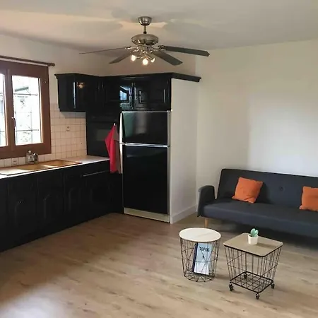 Appartement 55M2 En Beaujolais & Enedis A 15 Min Saint-Germain-Nuelles Esterno foto